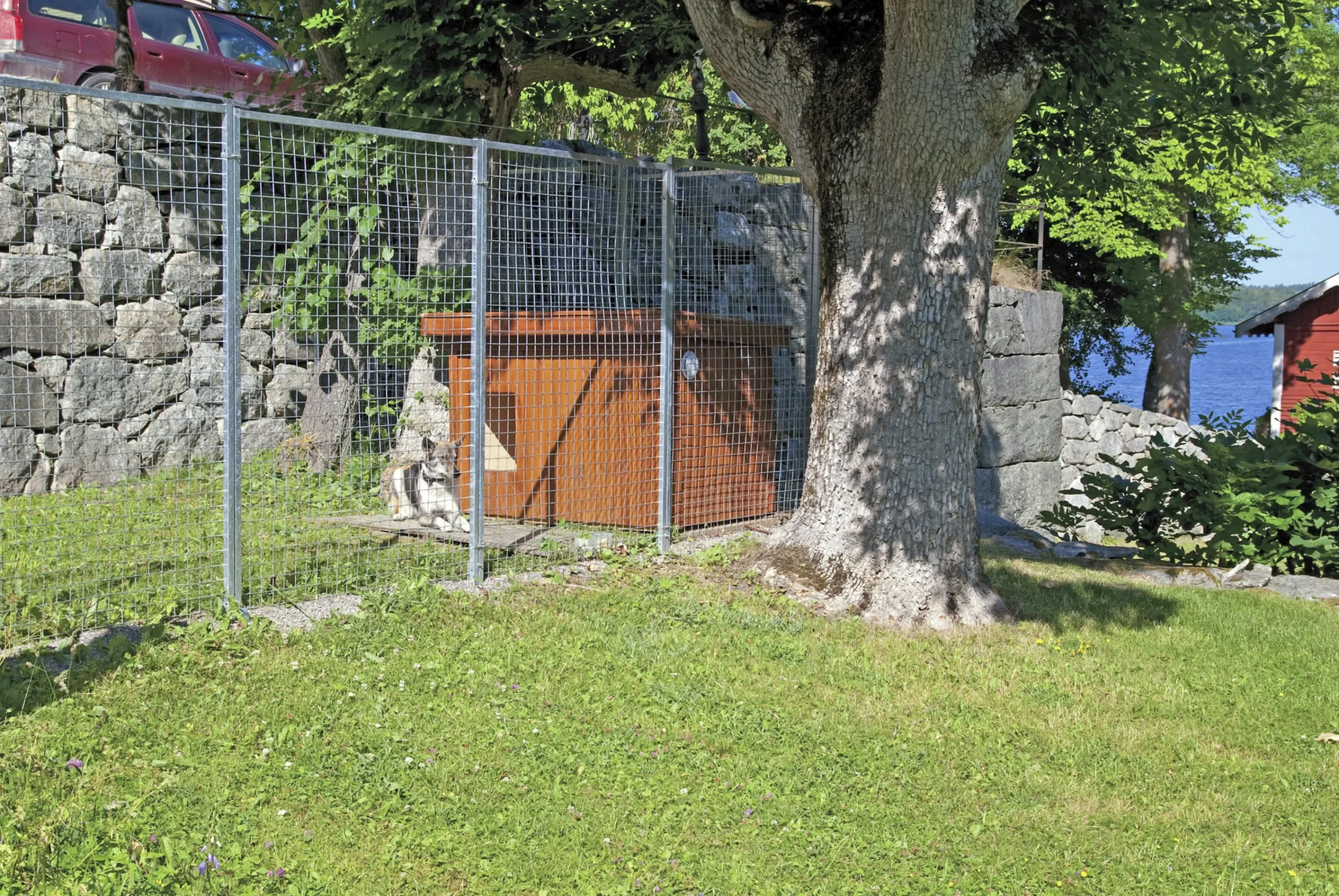 Dörrsektion till hundgård 120x180cm>Halsäng Stängsel Discount