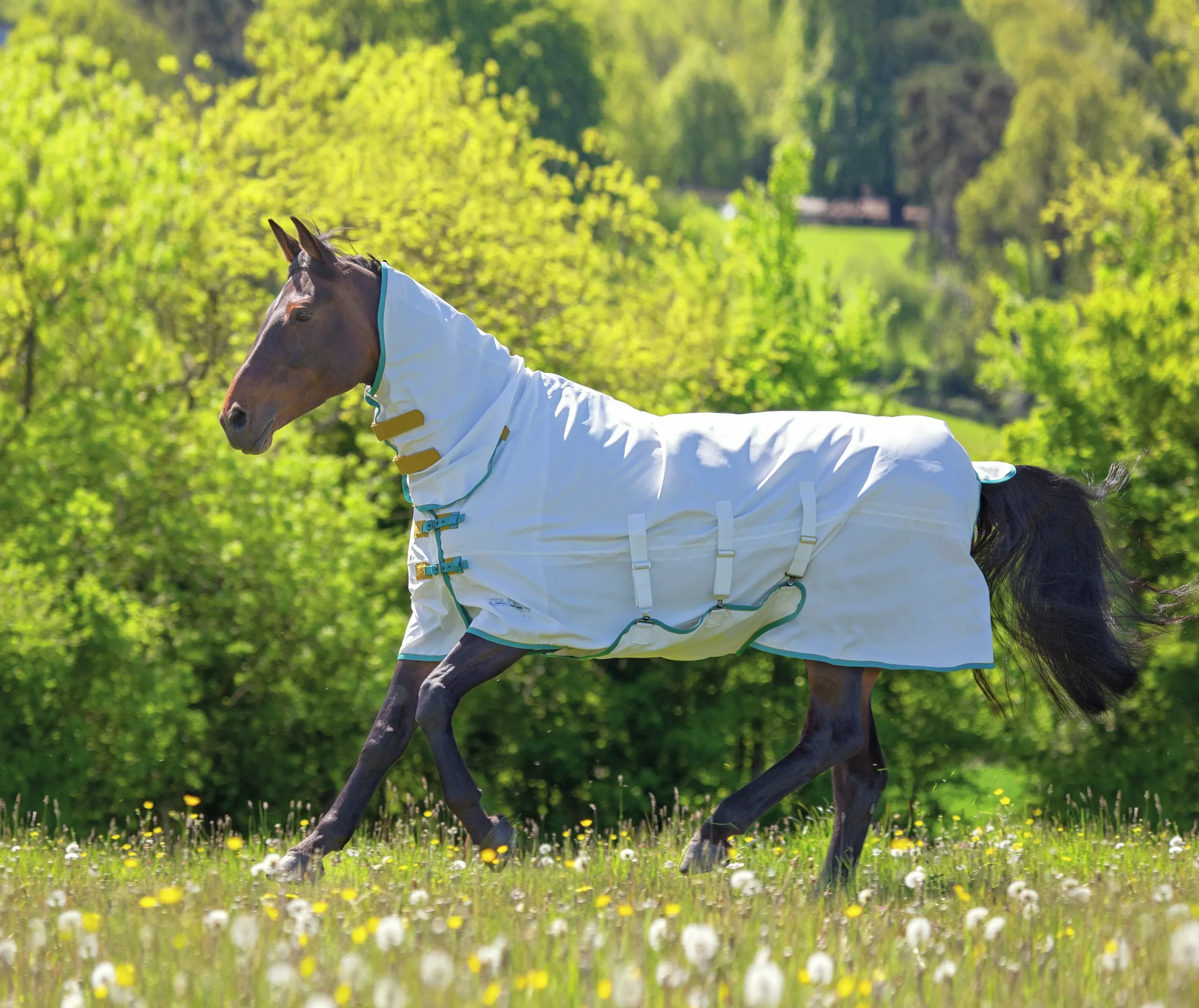 Eksemtäcke/Flugtäcke Tempest Sweet Itch Combo>Shires Discount
