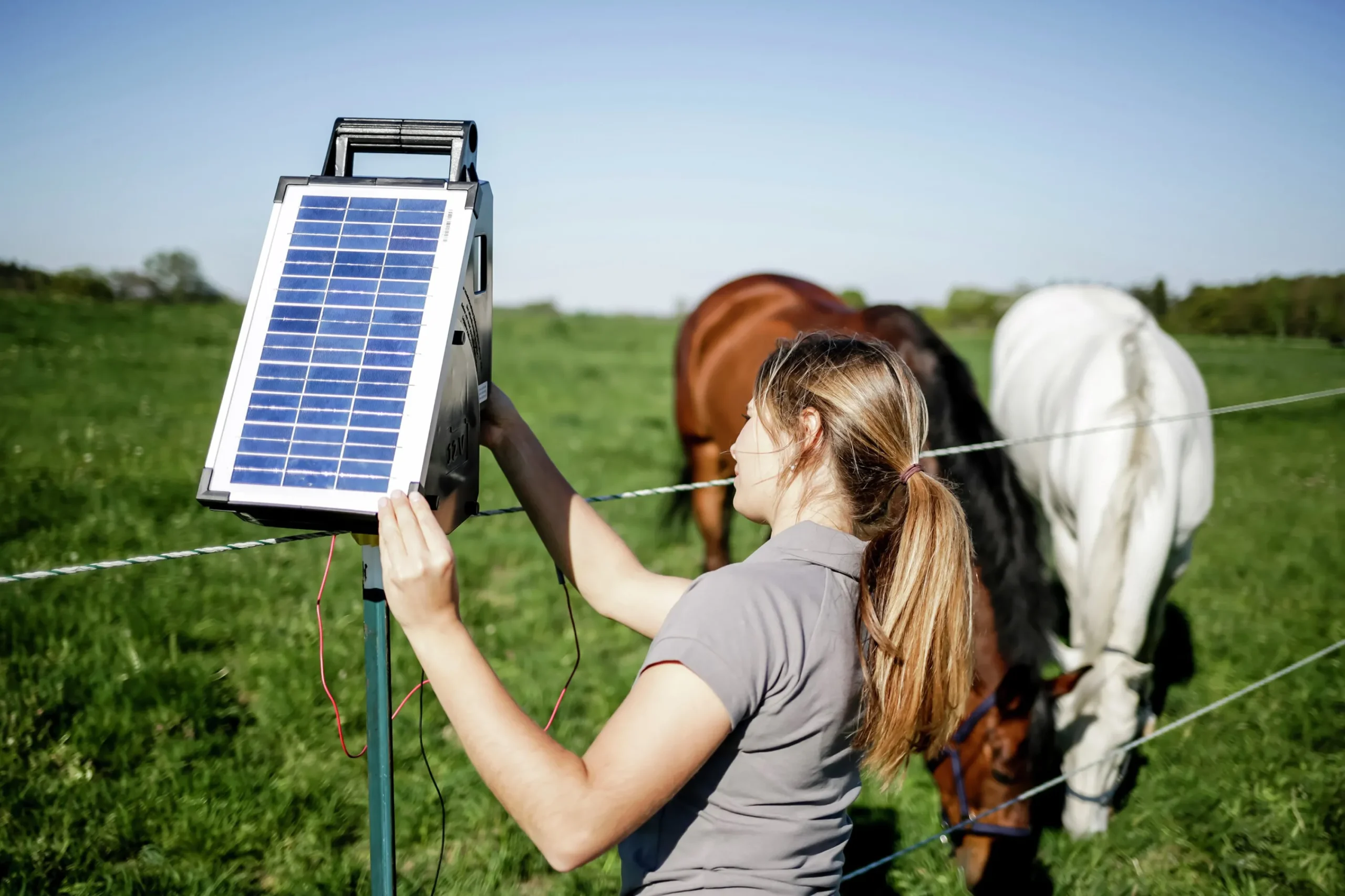 Elstängselaggregat Sun Power S800 12V>AKO New