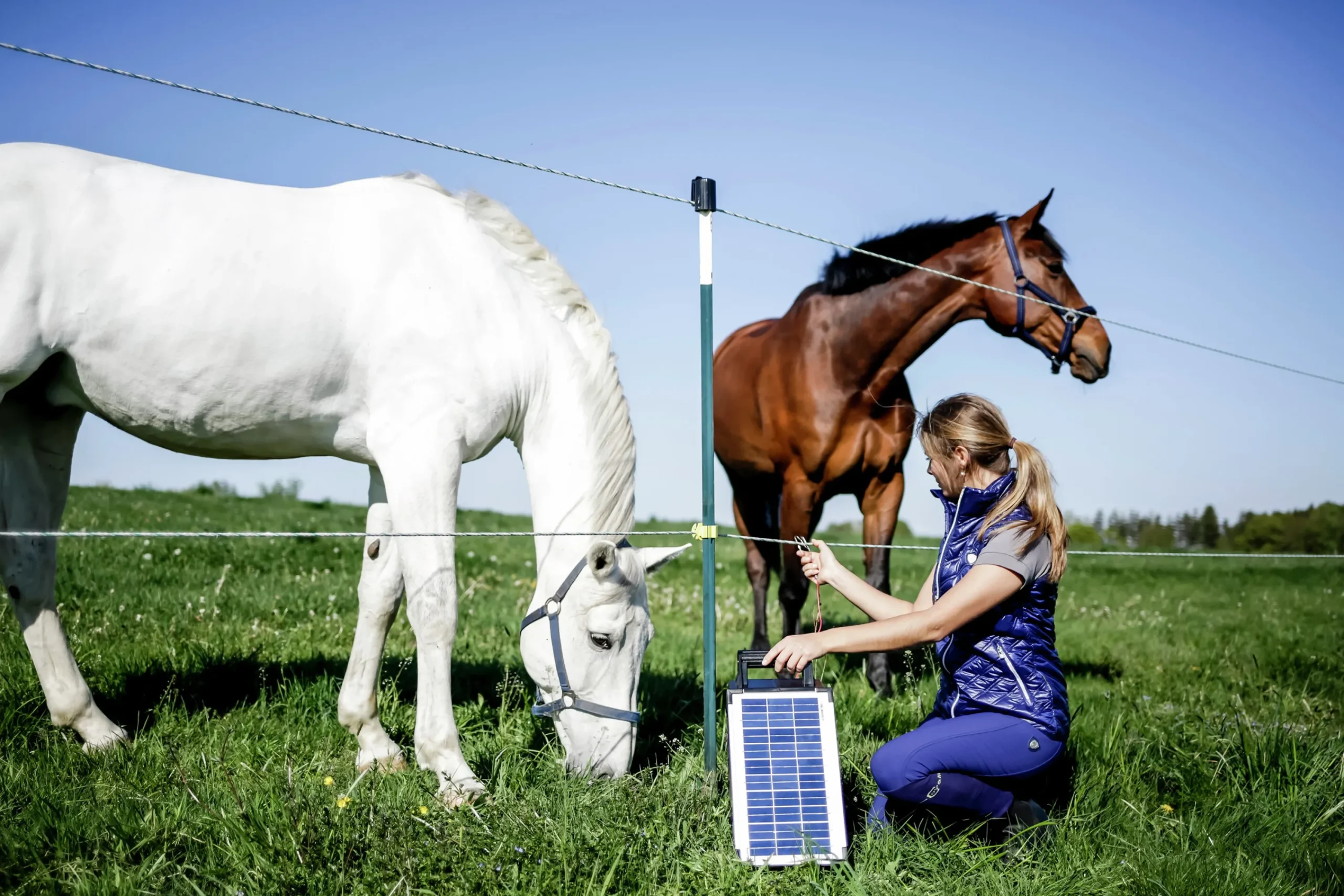 Elstängselaggregat Sun Power S800 12V>AKO New