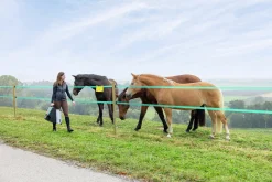 Elstängselaggregat SunPower Smart S2400><noscript><img width=