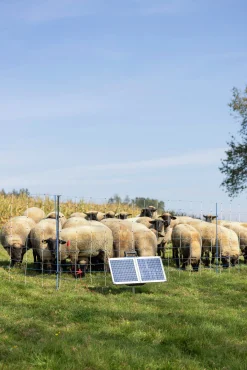 Elstängselaggregat SunPower S2400 Smart><noscript><img width=