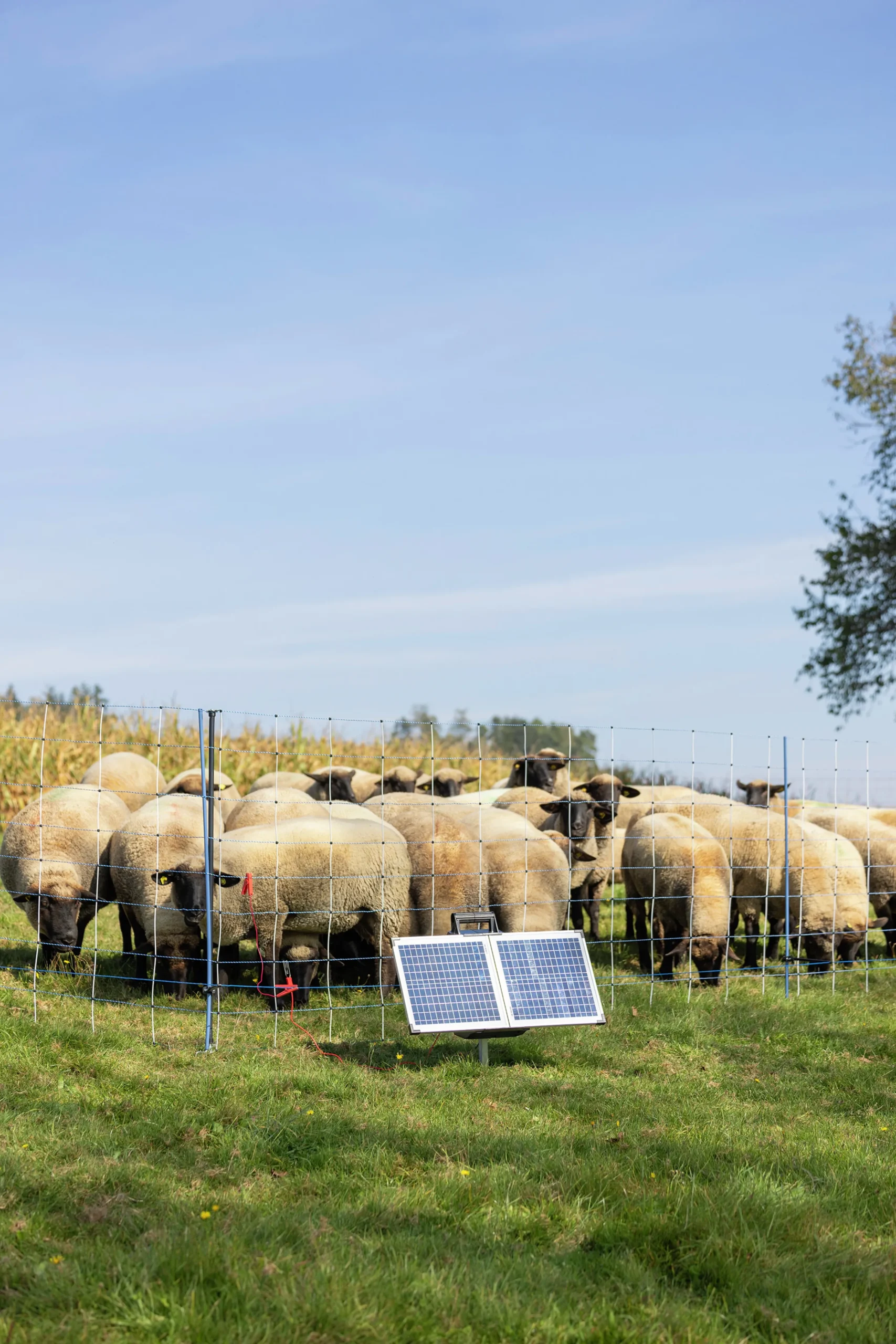 Elstängselaggregat SunPower S2400 Smart>AKO Best