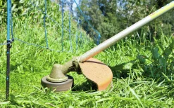 Elstängselnät Skyddsnät mot vildsvin 63-73cm 50m><noscript><img width=