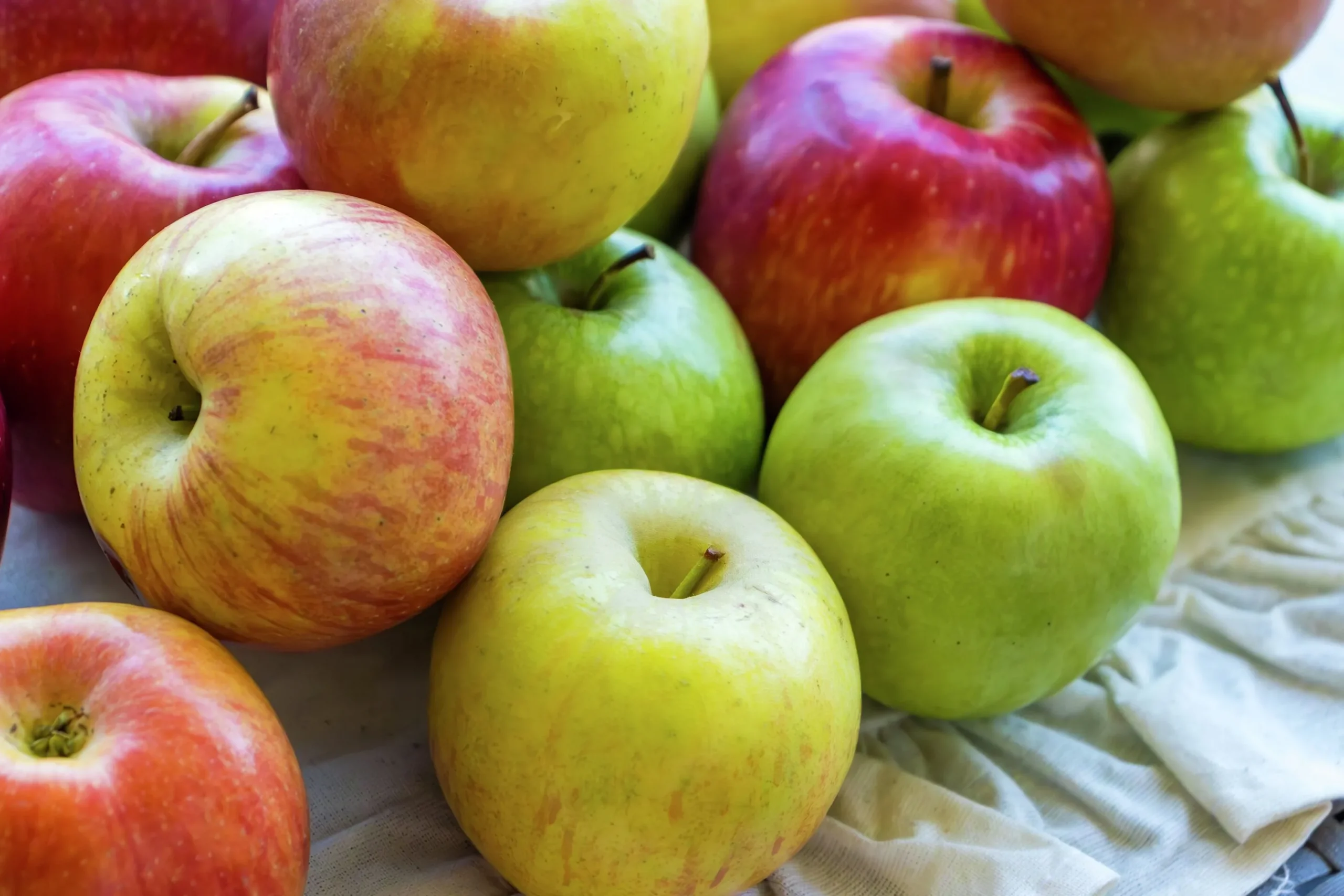 Familjeträd Äpple Krukodlad Zon 5-6>Omnia garden New