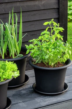 Fat Botanica Återvunnen plast>Orthex