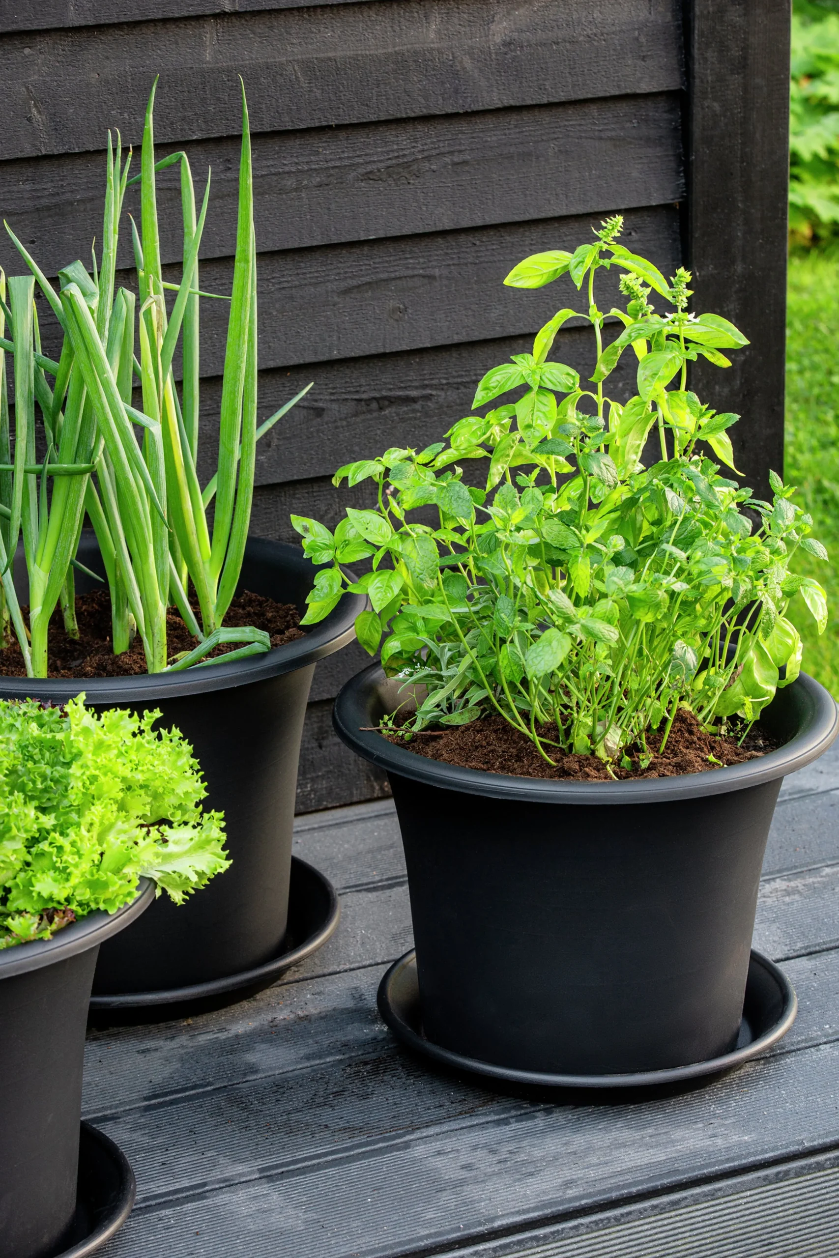 Fat Botanica Återvunnen plast>Orthex