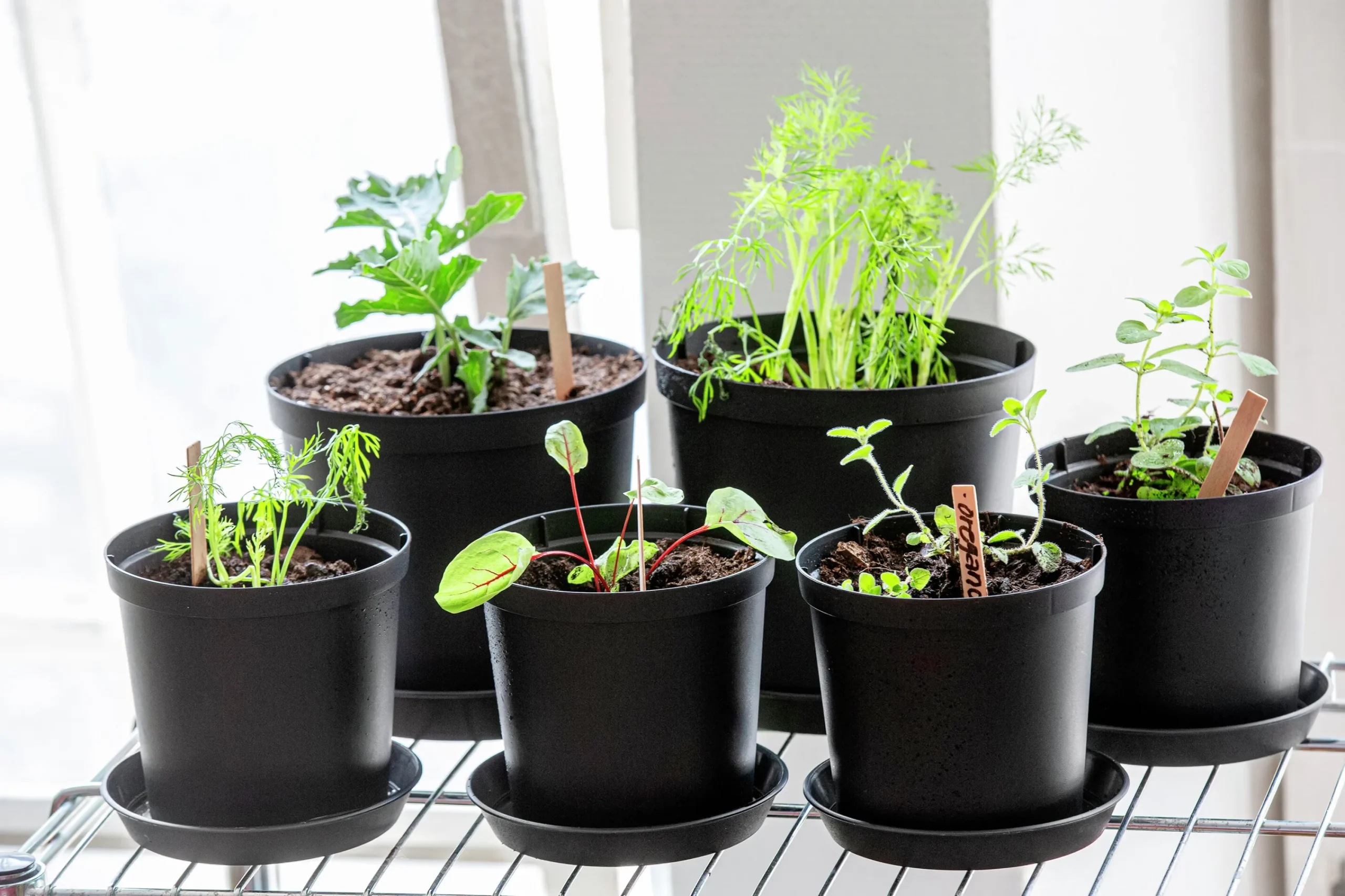 Fat Cultivate Återvunnen plast Ø28cm>Orthex Clearance