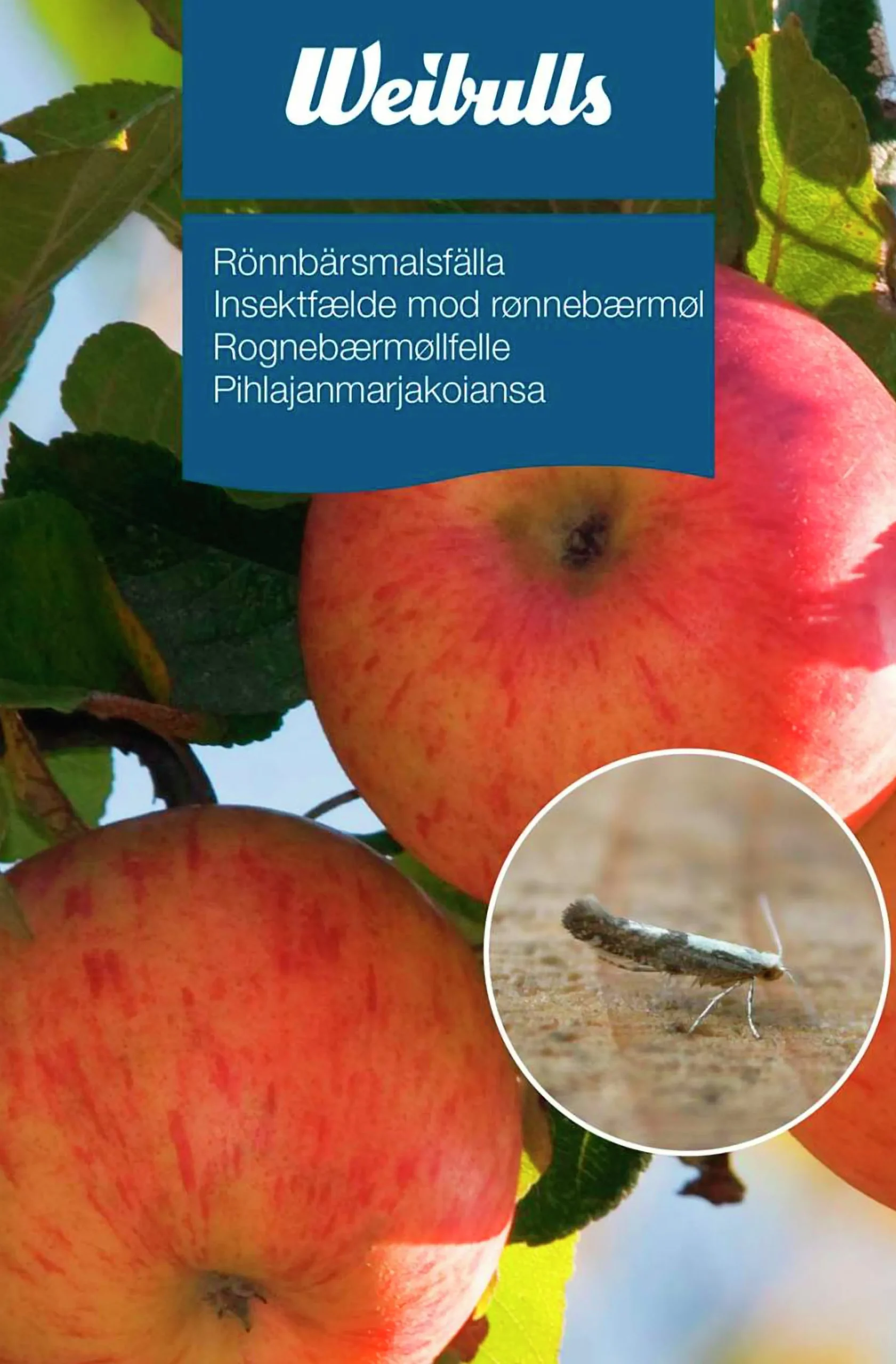 Feromonfälla Rönnbärsmal>Weibulls Sale