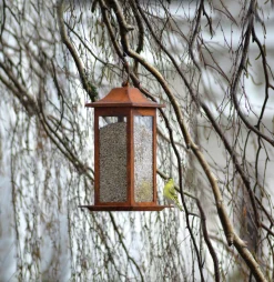 Fågelmatare Rost Frö 25cm 1,5L>Nelson Garden
