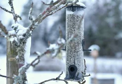 Fågelmatare Bruk Rör Frö Svart 30cm 1,1L><noscript><img width=