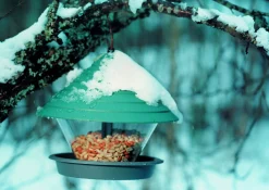 Fågelmatare Kåtan Frö Grön 2L>Orthex Discount