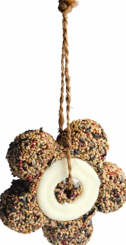 Fågelmat Småfågeldessert 400g><noscript><img width=