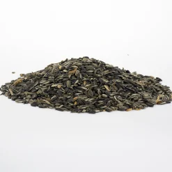 Fågelmat Solrosfrö Strimmiga+Svarta 4kg><noscript><img width=