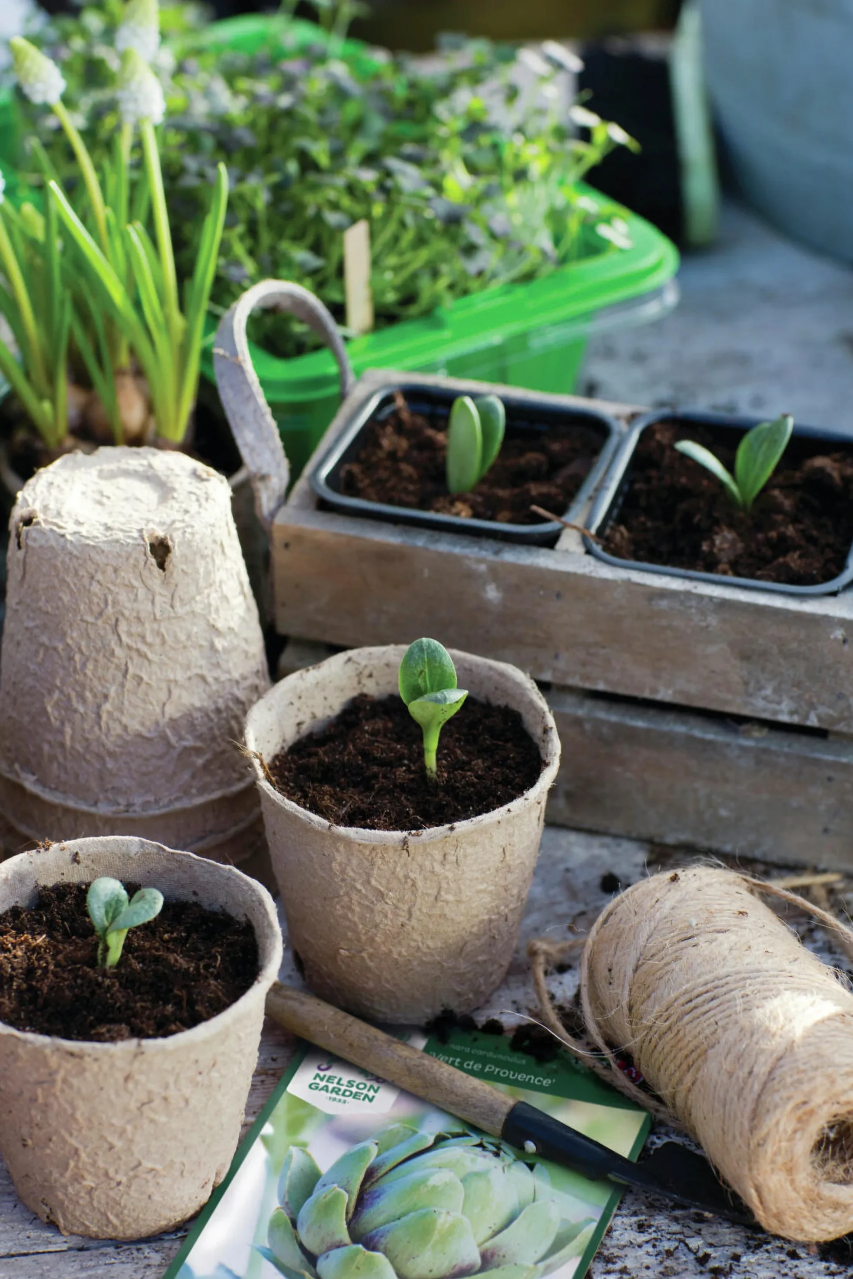 Fiberkruka papp Ø8cm 32-p>Nelson Garden Outlet