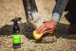 Fläckborttagare Carr & Day & Martin Stain Master 500ml>Carr Day Martin Discount