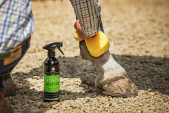 Fläckborttagare Carr & Day & Martin Stain Master 500ml><noscript><img width=