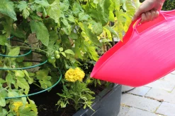 Flexikorg rosa 5L><noscript><img width=