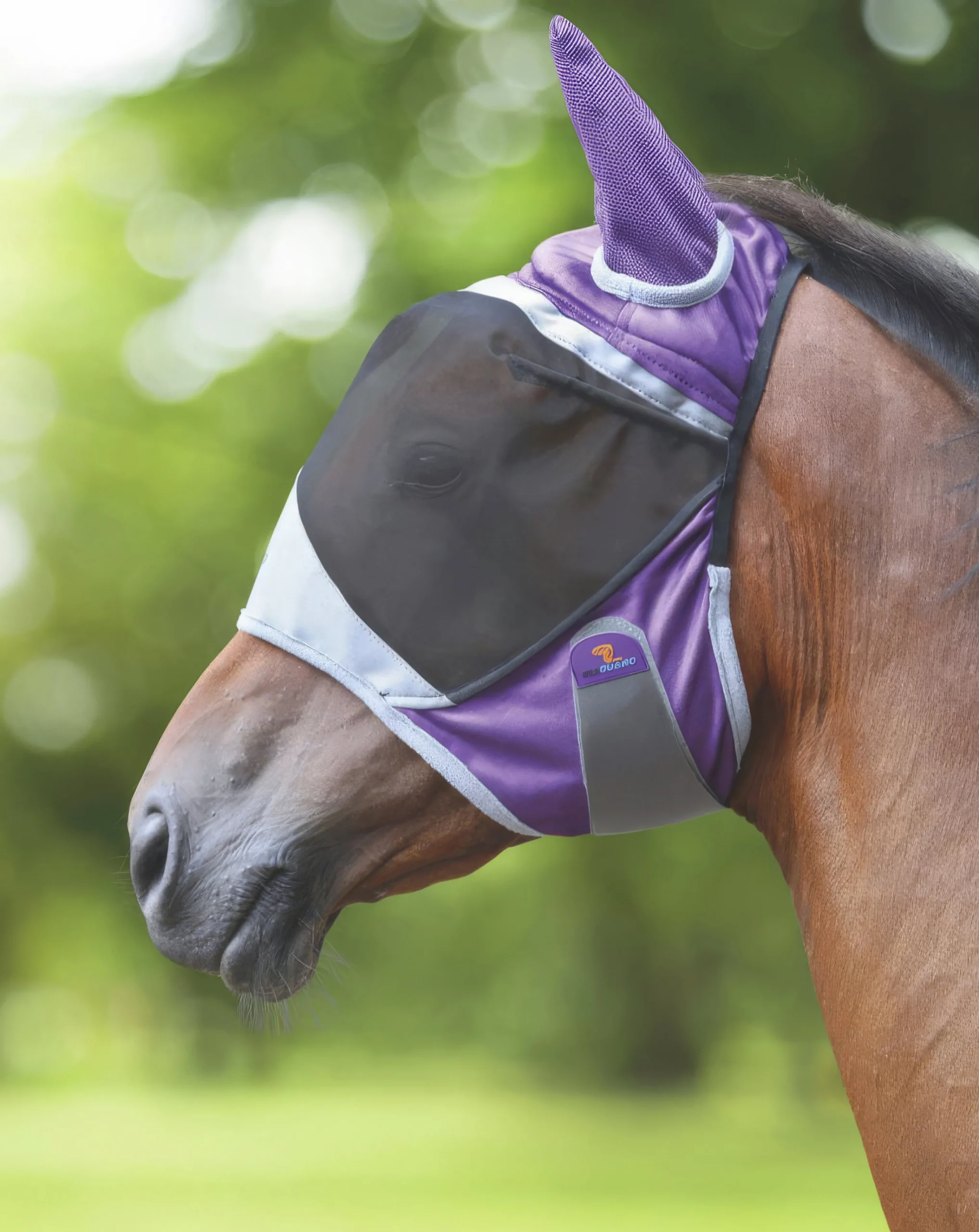 Flughuva Deluxe med öron>Shires Outlet