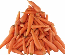 Foderråvara Morötter färska 18kg>TonyMorot Clearance