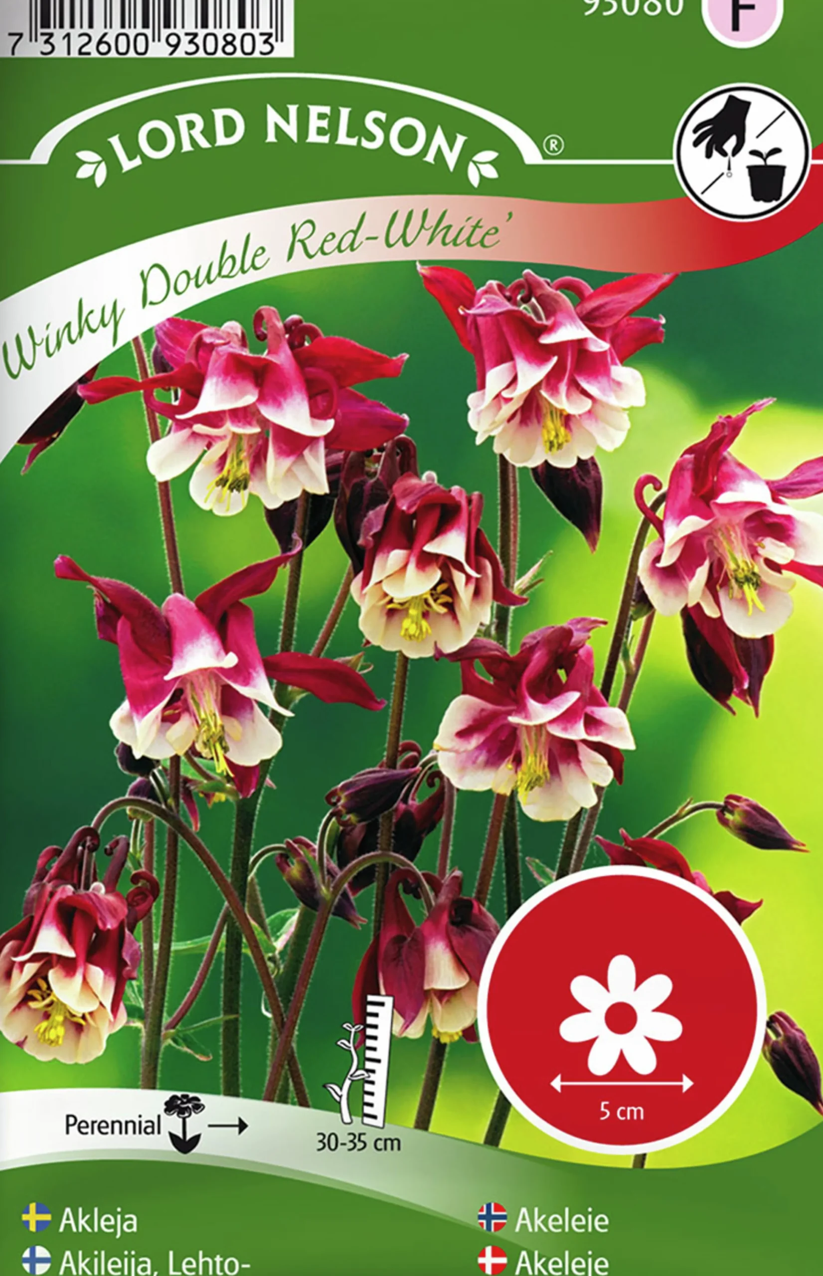 Fröer Akleja Winky Double Red White>Nelson Garden Outlet
