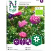 Fröer Aster Dubbel Mix Organic>Nelson Garden Outlet