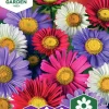 Fröer Aster Enkel Blandade färger>Nelson Garden Outlet