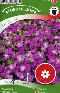 Fröer Aubrietia Red Cascade>Nelson Garden New