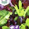Fröer Baby Leaf Sallat Mix Såband>Nelson Garden Best