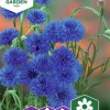 Fröer Blåklint Blue Boy Blå>Nelson Garden Discount