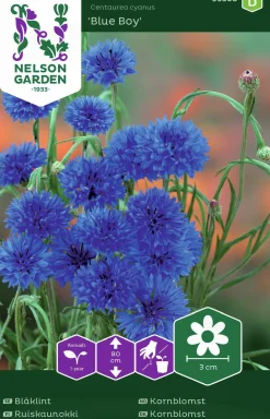 Fröer Blåklint Blue Boy Blå>Nelson Garden Discount