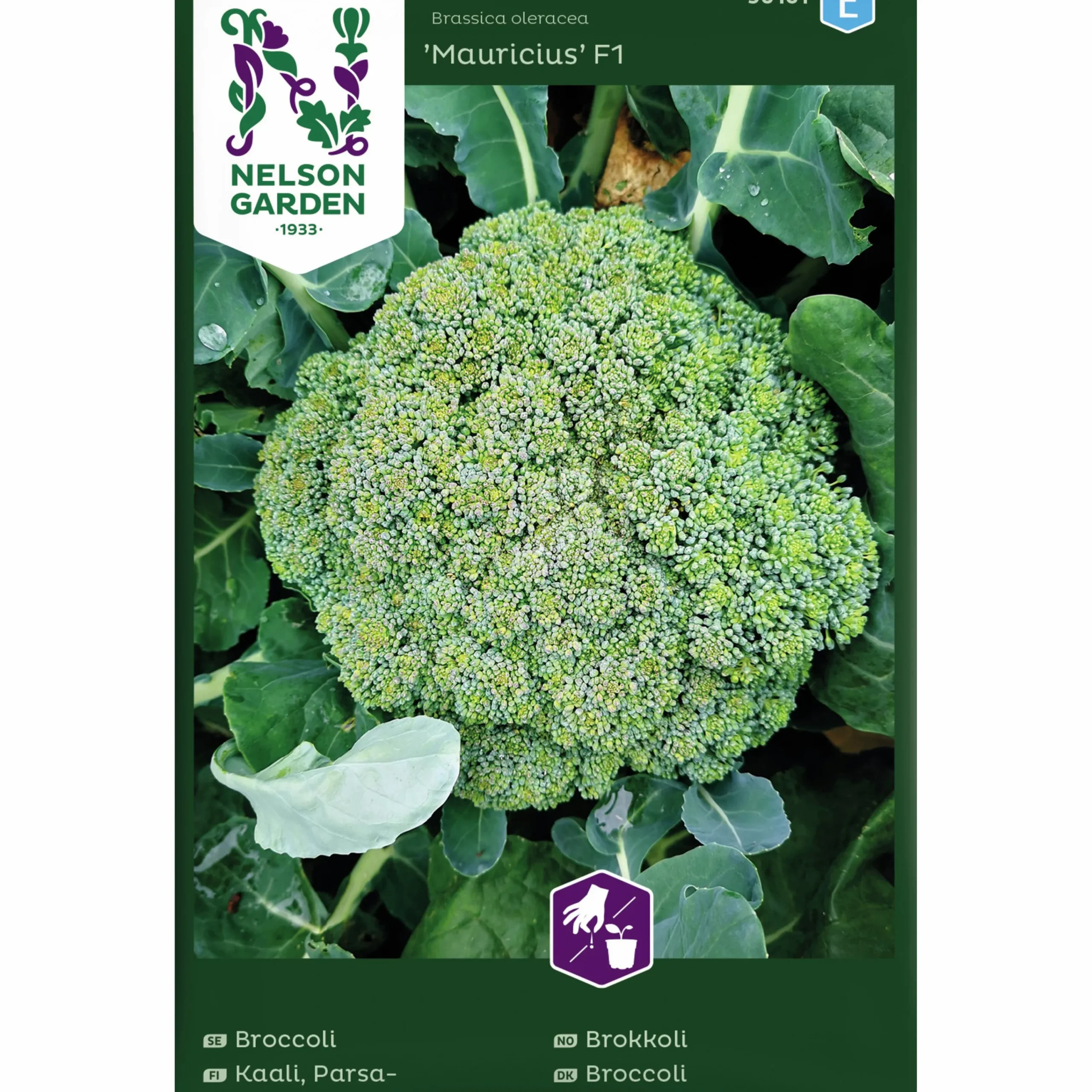 Fröer Broccoli Mauricius F1>Nelson Garden Hot