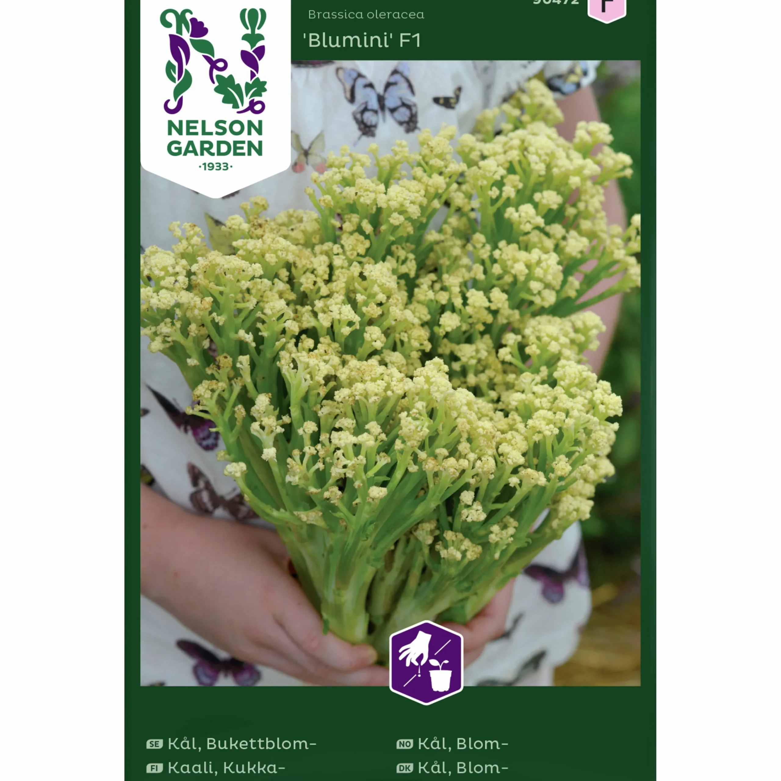 Fröer Bukettblomkål Blumini F1>Nelson Garden Hot