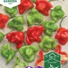 Fröer Chilipeppar Jamaican Bell>Nelson Garden Online
