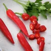 Fröer Chilipeppar Damián Röd>Nelson Garden Discount
