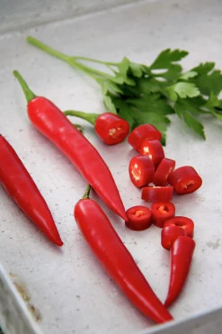 Fröer Chilipeppar Damián Röd>Nelson Garden Discount