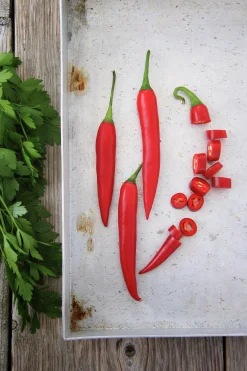 Fröer Chilipeppar Damián Röd>Nelson Garden Discount