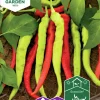 Fröer Chilipeppar Lombardo>Nelson Garden Online