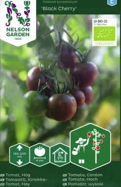 Fröer Cocktailtomat Black Cherry Hög Organic><noscript><img width=