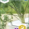 Fröer Dill Thalia Hydroponisk odling>Nelson Garden Outlet