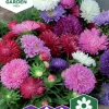 Fröer Dvärgaster Blandade färger>Nelson Garden Discount