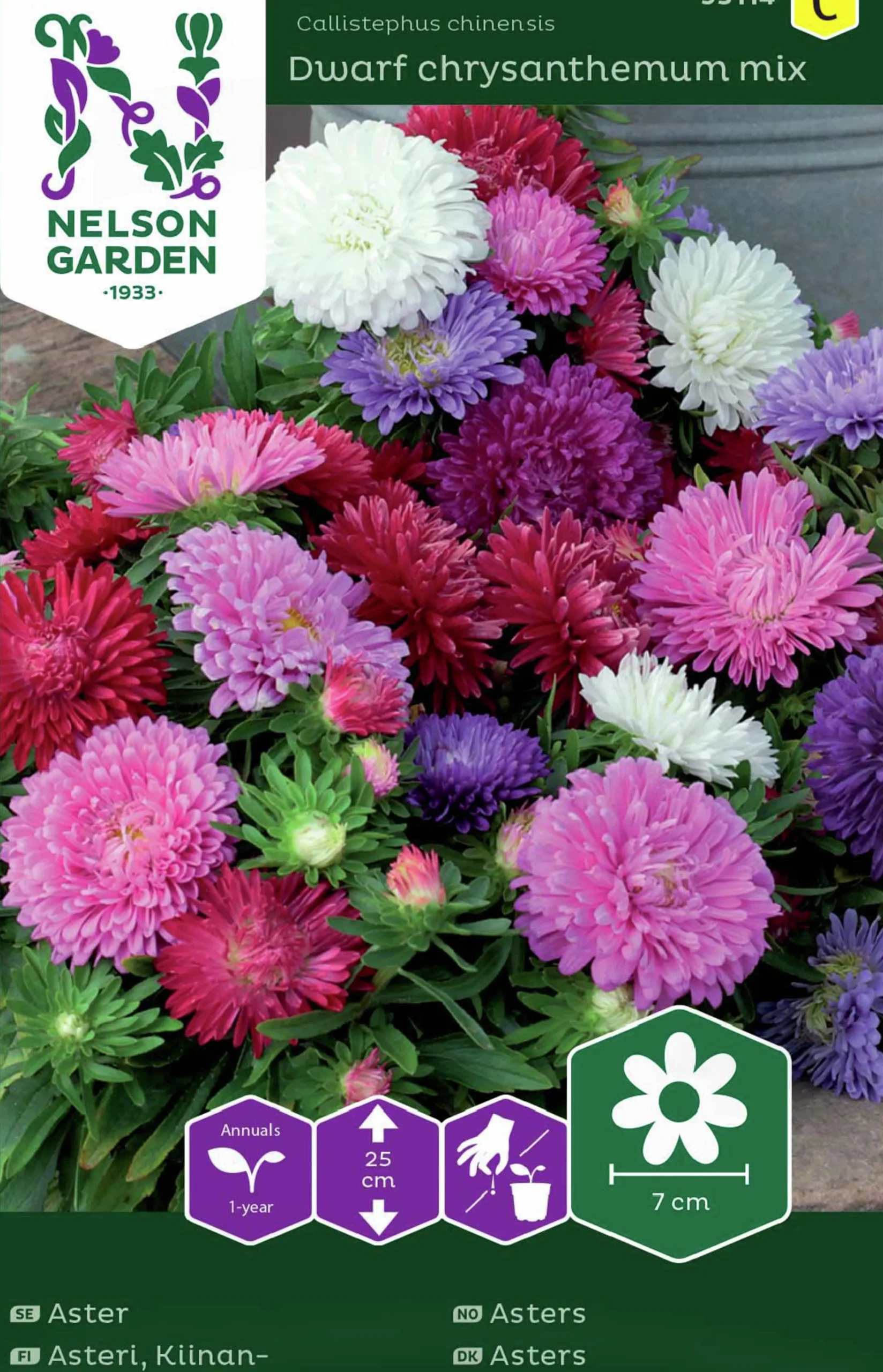 Fröer Dvärgaster Blandade färger>Nelson Garden Discount