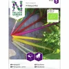 Fröer Fireworks Mangold Organic>Nelson Garden Online
