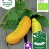 Fröer Frilandsgurka Gele Tros Organic>Nelson Garden Sale