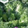 Fröer Grönkål Emerald Ice>Nelson Garden Hot