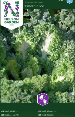 Fröer Grönkål Emerald Ice>Nelson Garden Hot