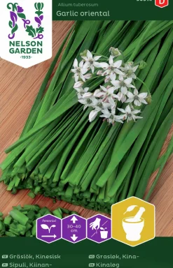 Fröer Gräslök Kinesisk Garlic Oriental>Nelson Garden New