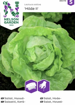Fröer Huvudsallat Hilde II Såband>Nelson Garden Online