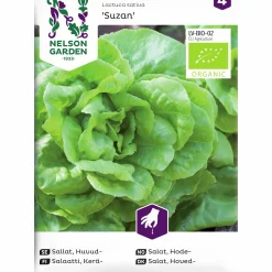Fröer Huvud sallat Suzan Organic>Nelson Garden Hot