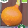 Fröer Jättepumpa Uchiki Kuri Organic>Nelson Garden Clearance